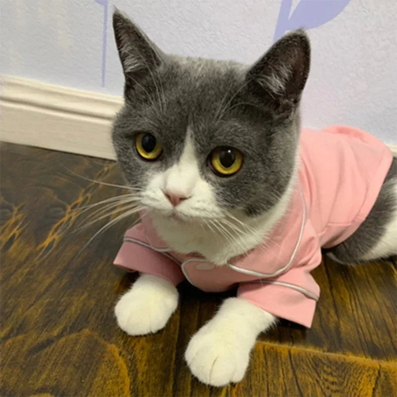 Christmas Hoodie Costume for Cats and Small Dogs
