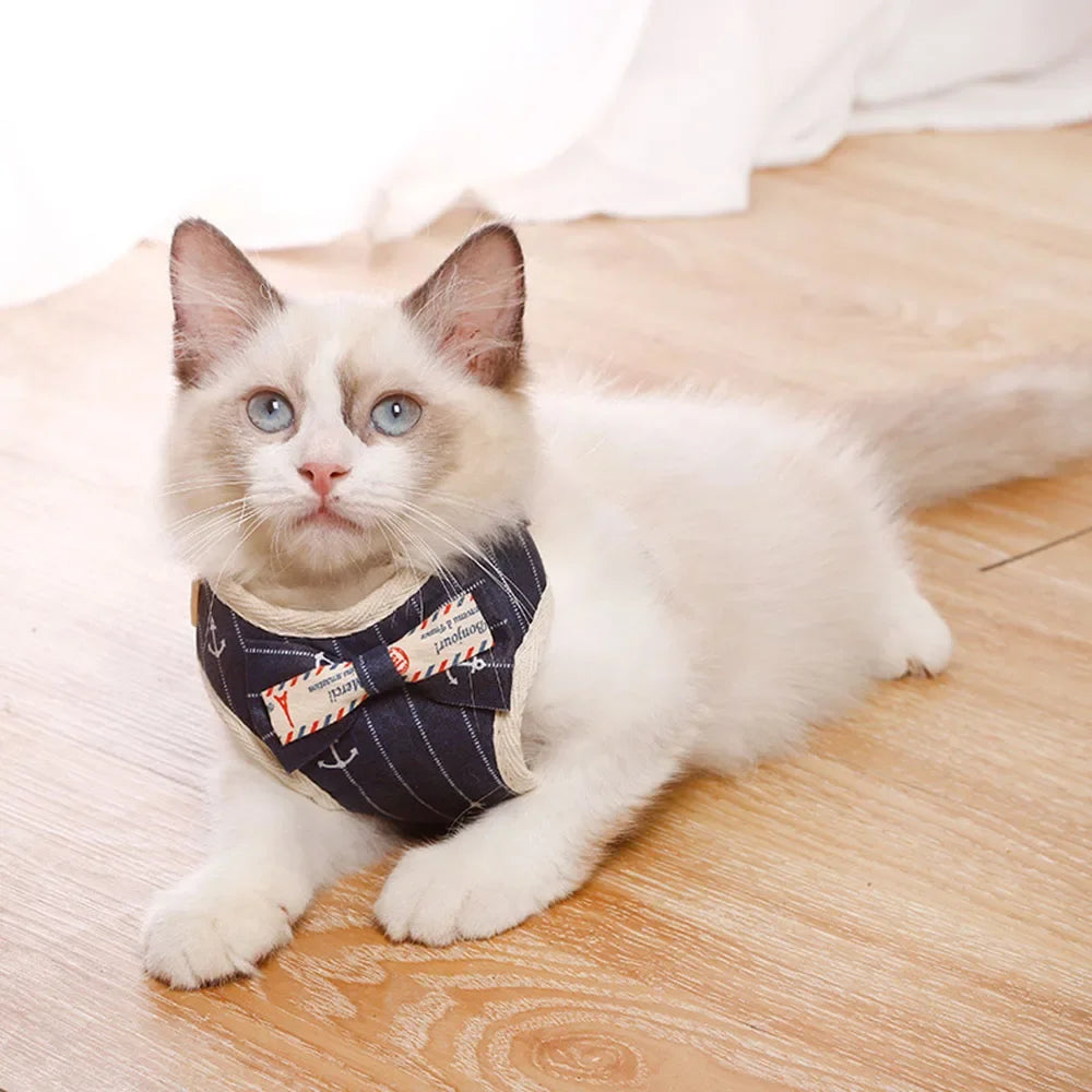 Bowknot Mesh Harness and Leash Set for Small Dogs and Cats