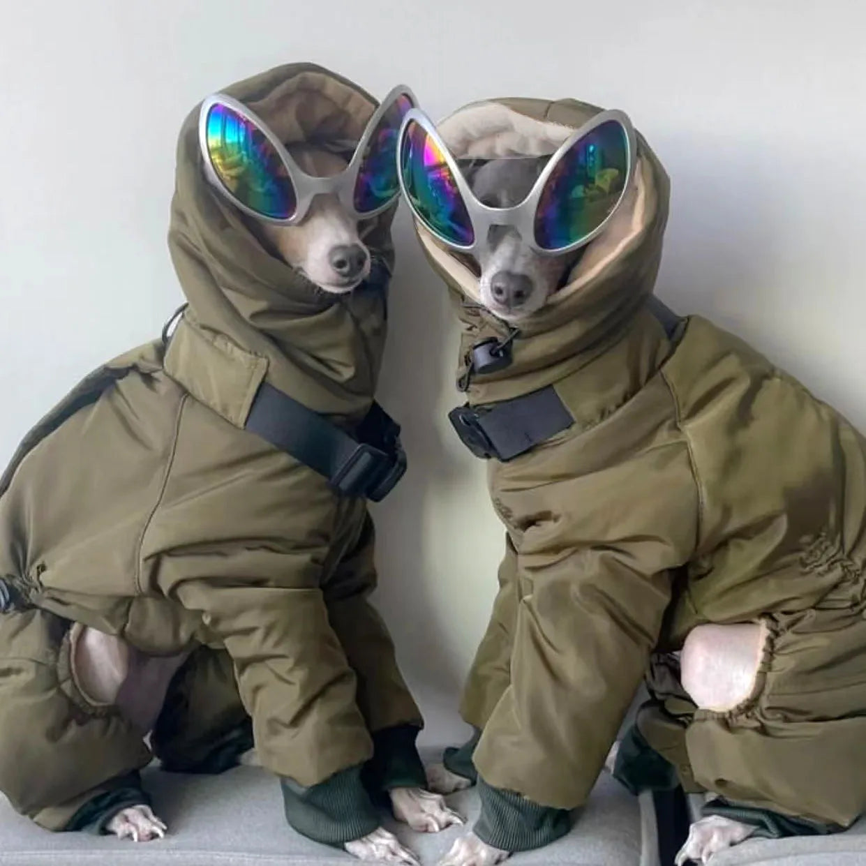 Thickened Cold Weather Dog Jacket With Full Neck Coverage