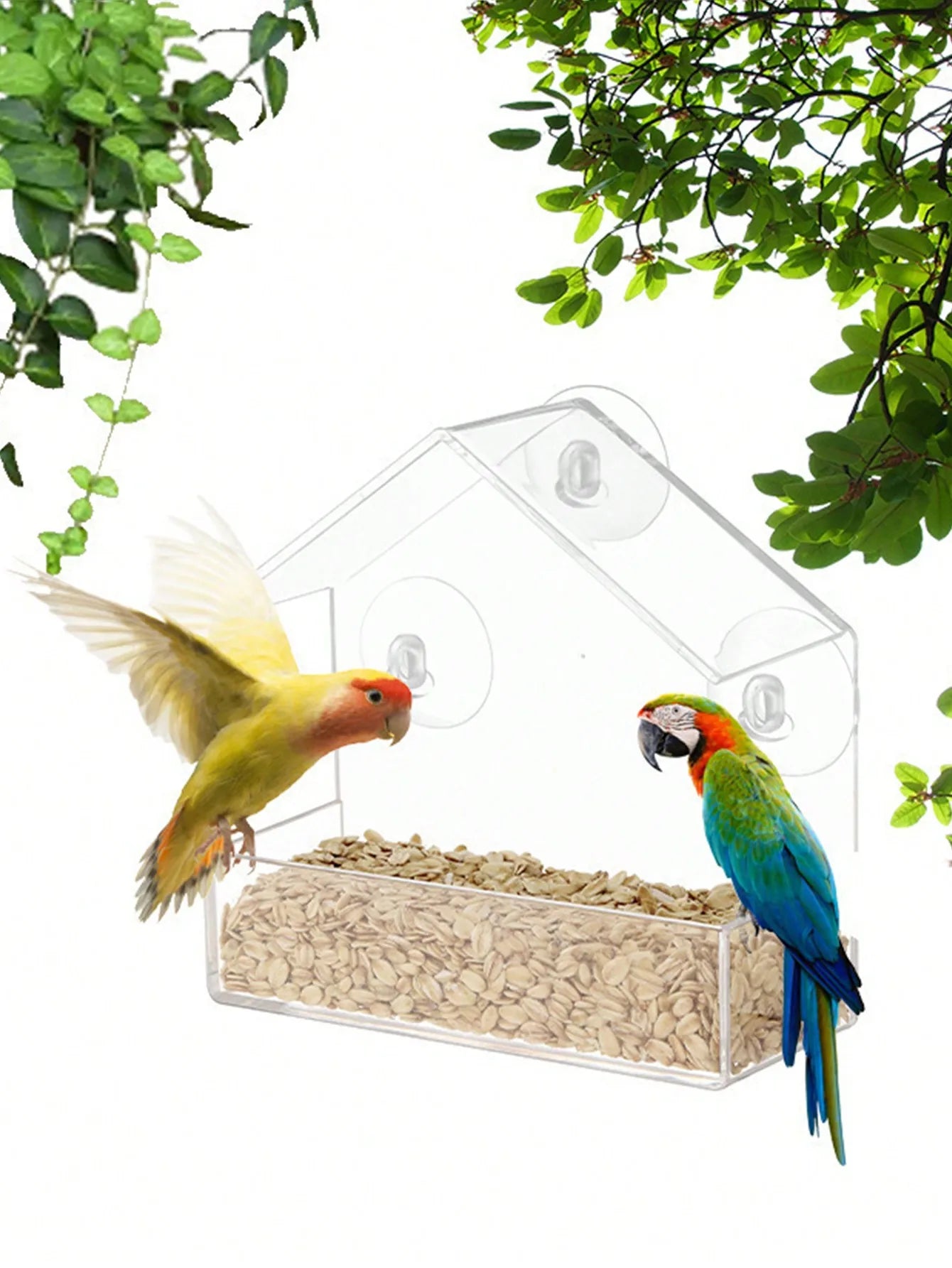 Outdoor Plastic Bird Feeder House for Garden Birds