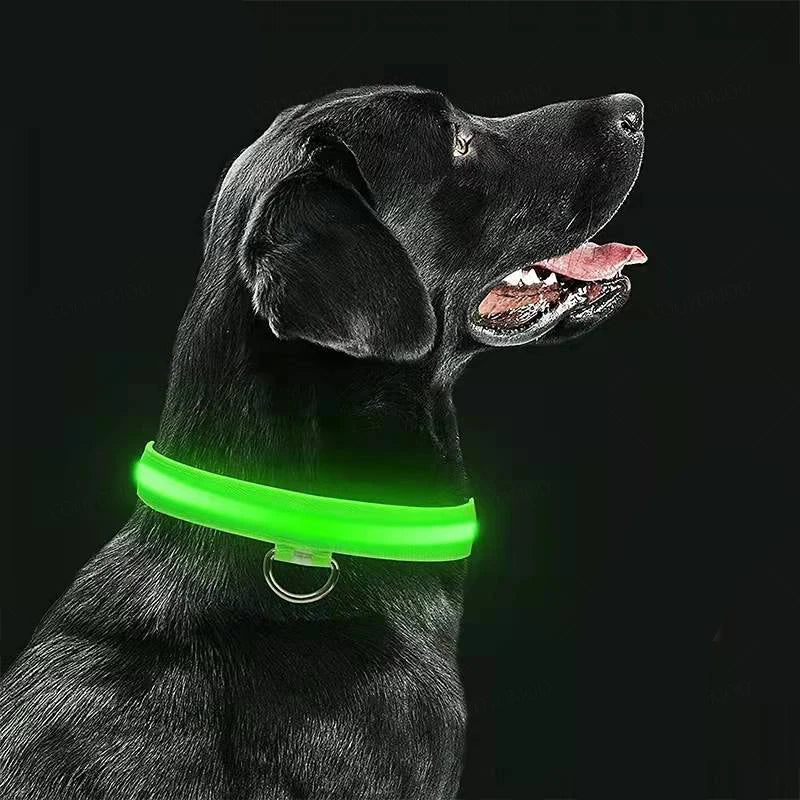 USB Rechargeable LED Glow Collar with 3 Light Modes