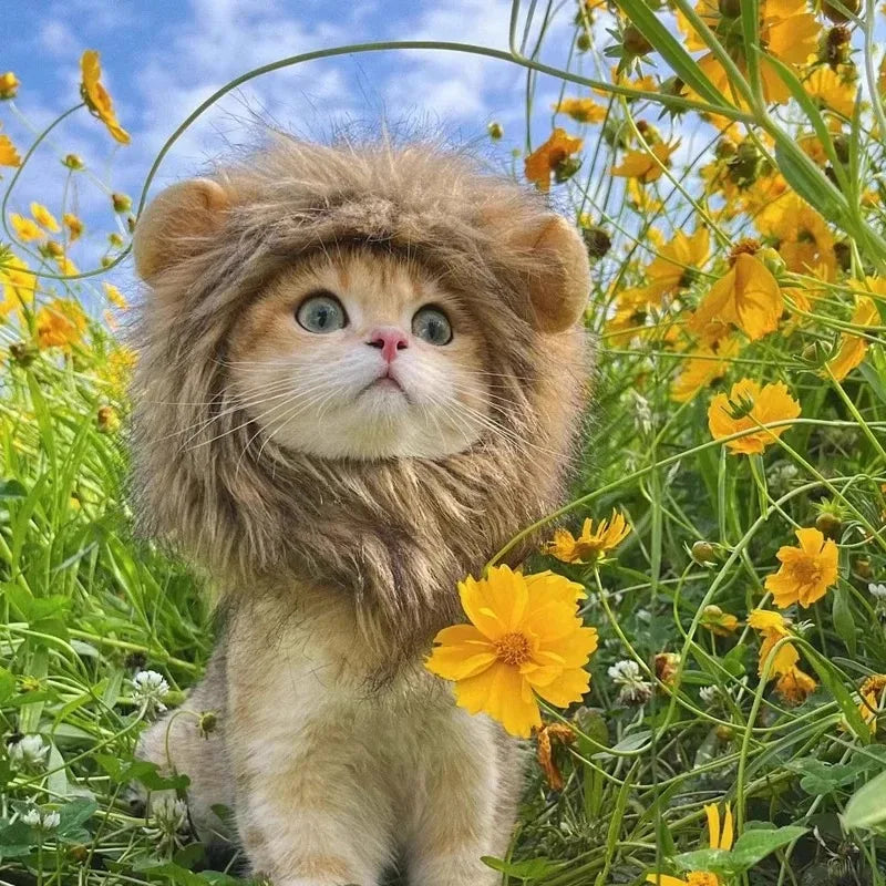 Lion Mane Cat Hat for Photos, Parties and Cozy Fun