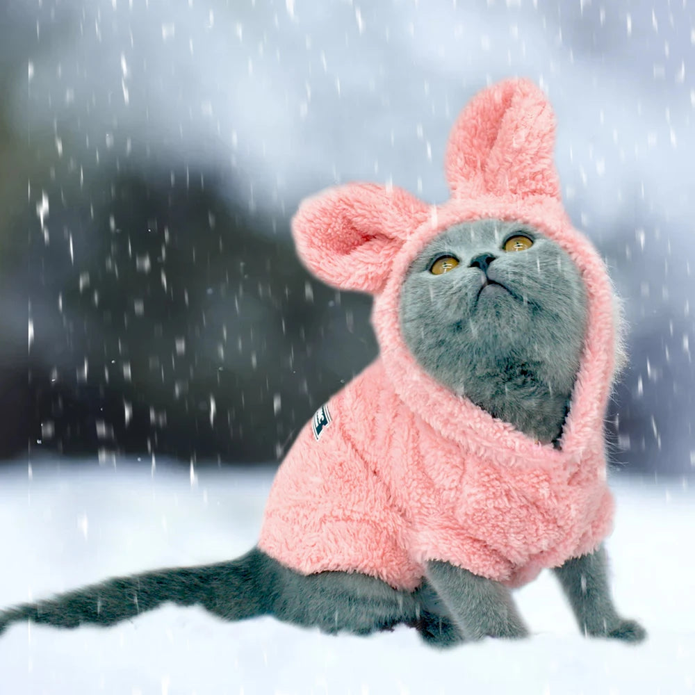 Cotton Winter Coat Jacket for Cats and Small Dogs