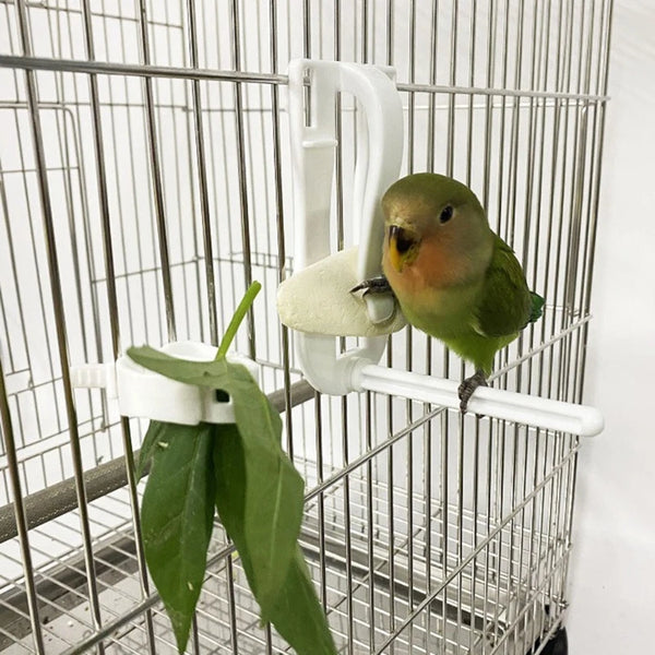 Parrot Fruit and Cuttlefish Bone Clip Holder