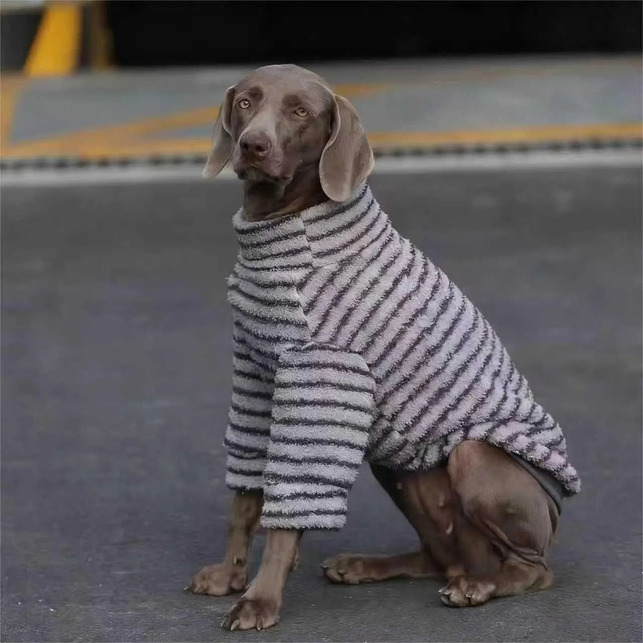 Striped Fleece Turtleneck Dog Sweater for Medium and Large Dogs