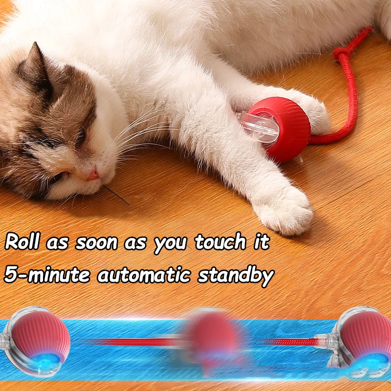 Rechargeable Faux Tail Smart Ball Cat Toy