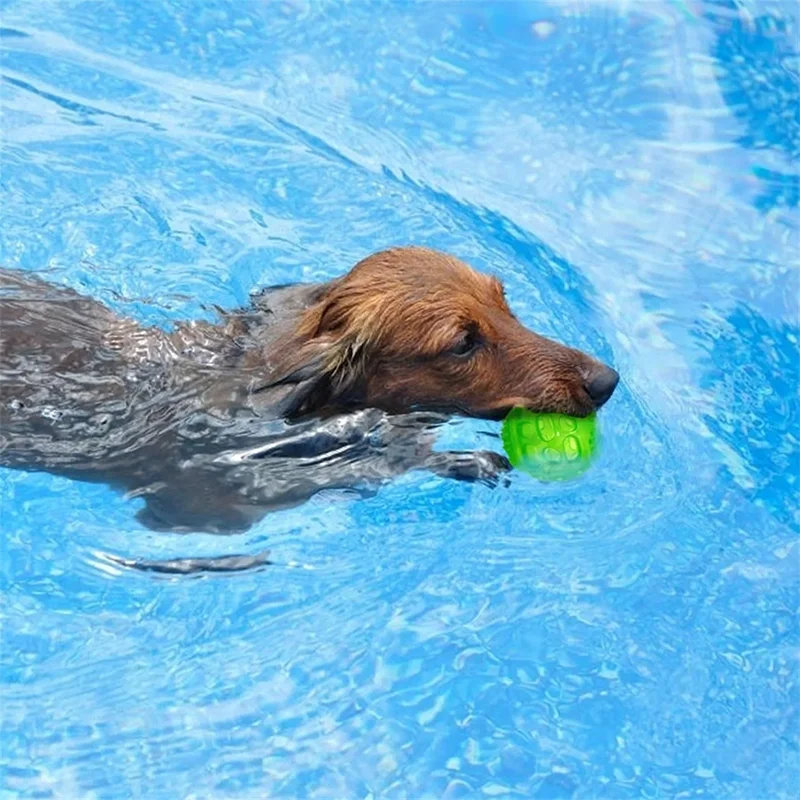 Squeaky Bouncing Puzzle Ball for Dog Chewing and Teeth Play